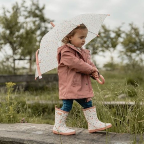 little dutch paraplu flowers and butterflies