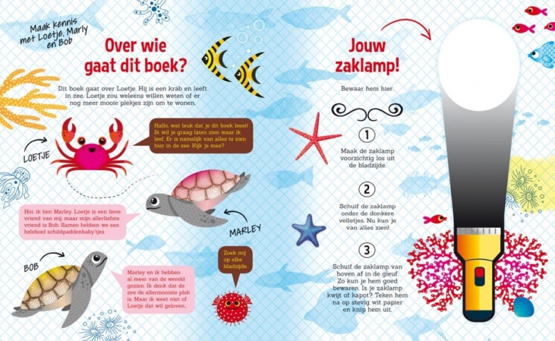 Zaklampboek Kijkboek Leesboek Leerzaam Educatief voorleesboek voor kinderen over de boerderij